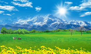 蓝天白云大草原