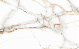 白色鱼肚金大理石石纹