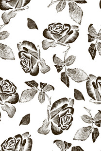 黑白玫瑰花卉图案设计