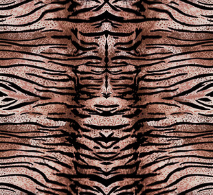 斑马纹图案纹理设计素材