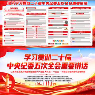 二十届中央纪委五次全会重要讲话