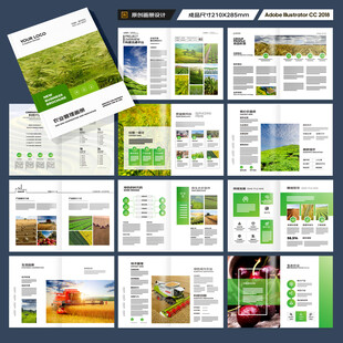 农产品宣传册