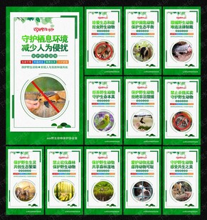 保护野生动物