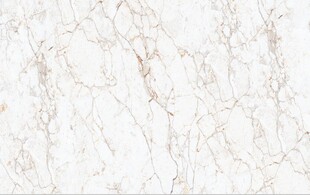 鱼肚金大理石石纹