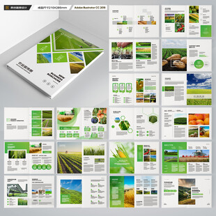 农产品宣传册