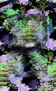 梦幻色彩的神秘植物景观