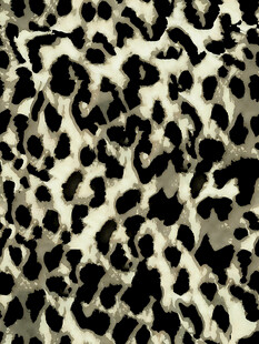 豹纹图案纹理