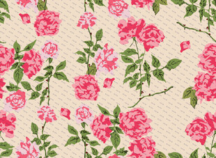 粉色玫瑰花卉图案背景
