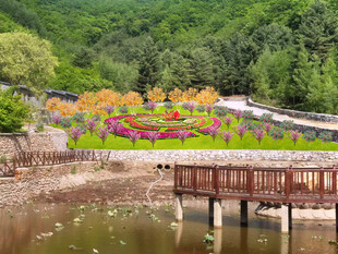 绿化改造设计效果图