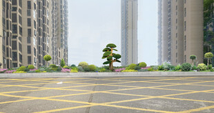 花池花境设计效果图