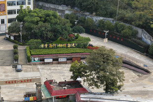 校园景观绿化改造设计