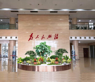 室内花卉租摆效果图