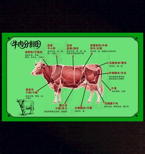 牛肉分割图