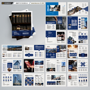 大气律师事务所画册