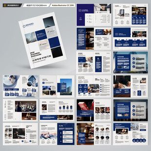 大气律师事务所画册