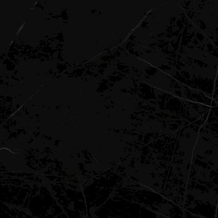 地板 高雅新款纹理 清晰大图 