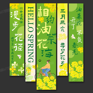 油菜花