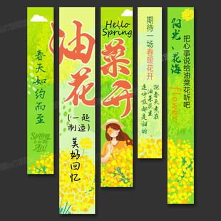 油菜花