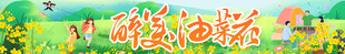 油菜花节条幅