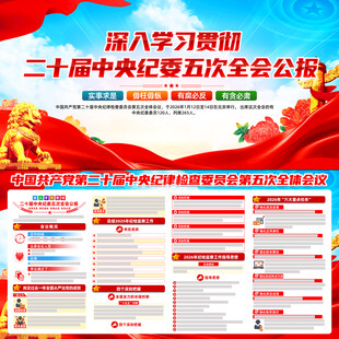 二十届中央纪委五次全会