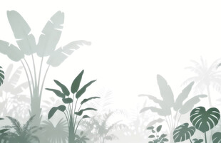 雾气磨砂膜效果绿植贴图