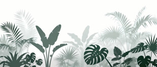 雾气磨砂膜效果绿植贴图