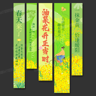 油菜花