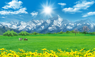 蓝天白云大草原