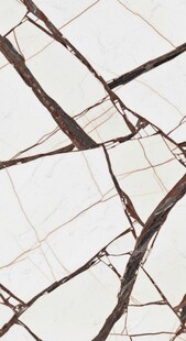 干裂土地纹理特写