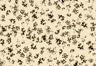 复古花卉纹理图案