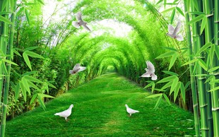 竹林背景