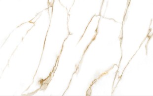 白色鱼肚金大理石石纹