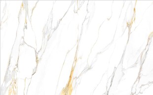 白色鱼肚金大理石石纹