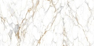 白色鱼肚金大理石