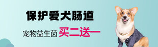 宠物肠道保护犬用保健品