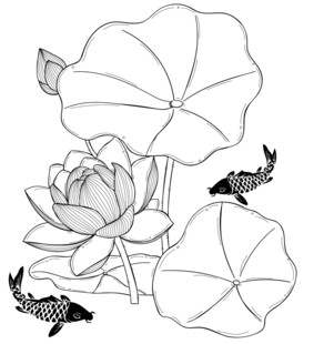 荷花锦鲤黑白线稿图 矢量图