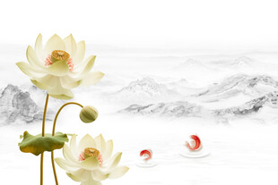 水墨荷花锦鲤图