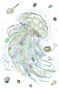 梦幻水母插画艺术作品