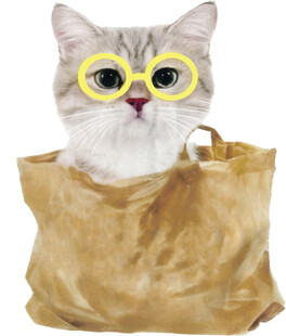 萌猫躲在布袋中