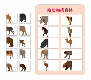 给动物找身体 游戏卡
