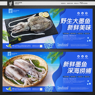 墨鱼