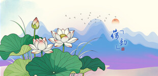 夏日荷塘莲花美景