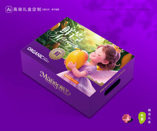 芒果包装 金煌芒礼盒