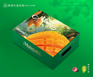 芒果包装 金煌芒礼盒