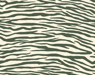 斑马纹图案纹理背景图
