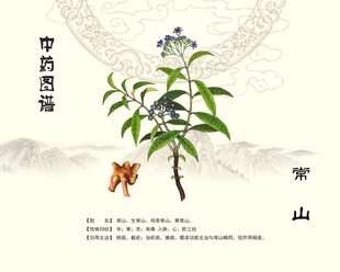 常山药材展示图