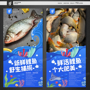 鲤鱼