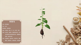 中草药何首乌