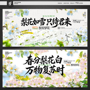 梨花海报