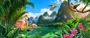 热带风景画